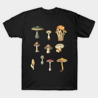 Simple Vintage Realistic Mushroom Pattern T-Shirt